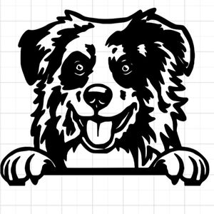 Australian Shepherd Peeking Vinyl Graphic Auto Wall Laptop Decal Animal Sticker